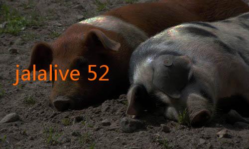jalalive 52-Panduan Mudah Download APK JalaLive: Tingkatkan Pengalaman Menonton Anda