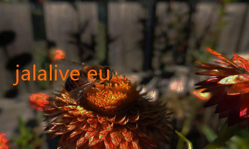 jalalive euro-Jalalive ApkModJoy.net: Aplikasi Hiburan Terbaik untuk Pengalaman Menonton Tak Terbatas