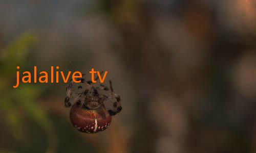 jalalive tv apk-Persaingan Seru: Indonesia vs Myanmar dalam Jalalive